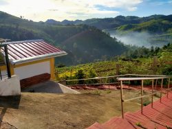 Ooty Weather & Travel Guide: Best Time to Visit