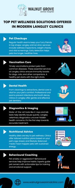 Comprehensive Pet Care Options Every Langley Owner Should Know