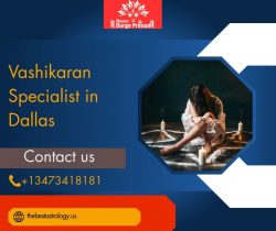 Vashikaran Specialist in Dallas