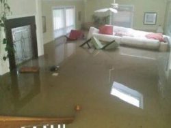 How Do Professionals Perform Water Damage Restoration?