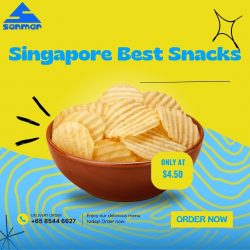 Singapore Best Snacks – Sanmar Foods