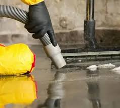 How Do You Repair a Basement After Severe Flooding?