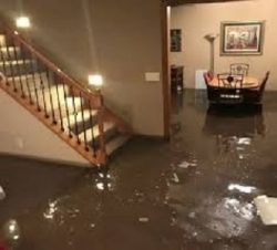 What Steps Are Involved in a Professional Basement Flood Cleanup?