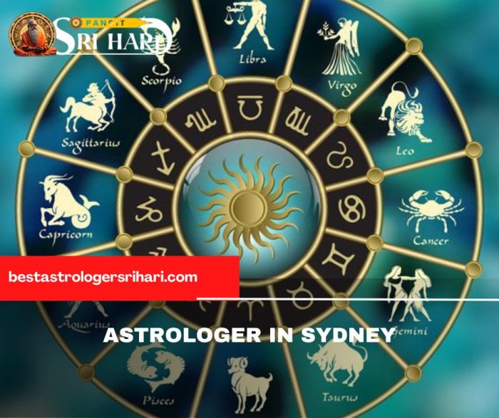 Astrologer in Sydney | Pandit Sri Hari – Accurate Astrology Solutions