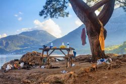Experience Ultimate Camp Stay in Bir Billing with Northwind