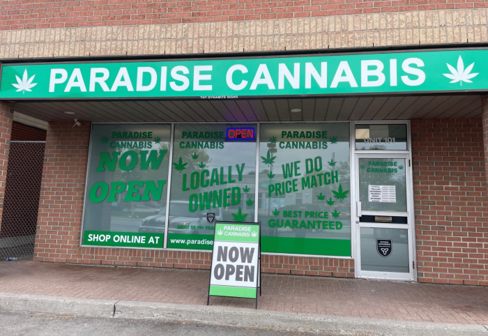 Your Brockville Budtender: Find Your Perfect Match at Paradise Cannabis