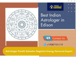 Best Indian Astrologer in Edison | Astrologer Pandit Sahadev
