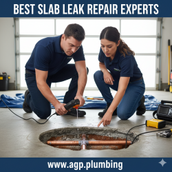 Best Slab Leak Repair Experts
