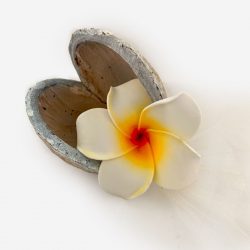 Notre Bonbonnière Exotique : Une Expérience Cadeau Unique et Luxueuse