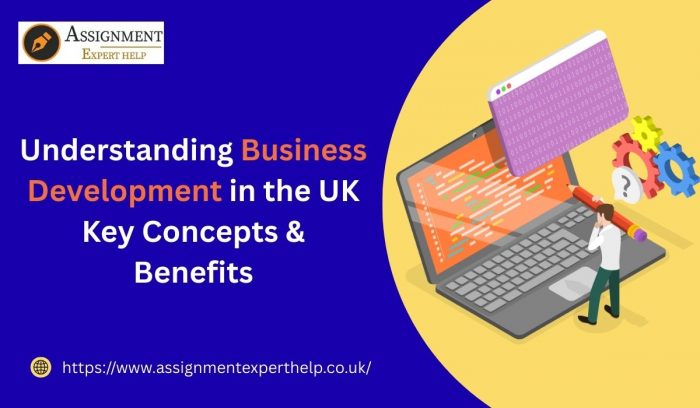 Business Development Strategies in the UK Driving Sustainable Growth