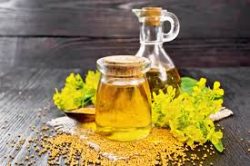Canola Fryer Oil – Is It the Best Choice for Perfect Frying?