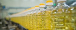 Trusted Canola Oil Manufacturers in Canada