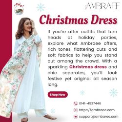 Christmas Dress Inspiration for Women to Stand Out in Style