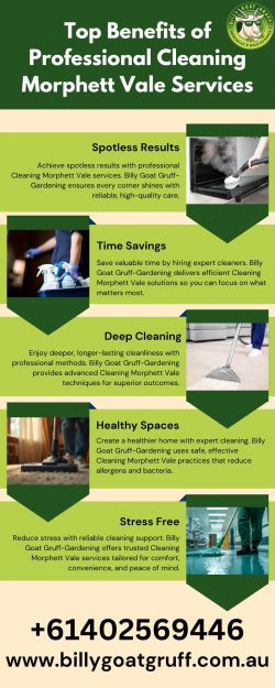 cleaning Morphett Vale