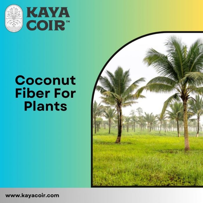 Coconut Fiber For Plants