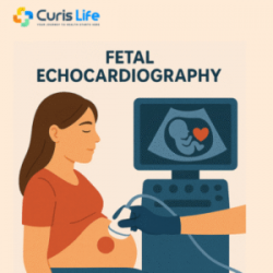 Best Cardiologist Services Near You