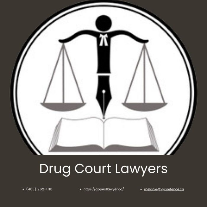 Drug court lawyers – Appeal lawyer