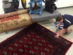 D&G Carpet Cleaning : Best Rug Cleaning Company for Every Space