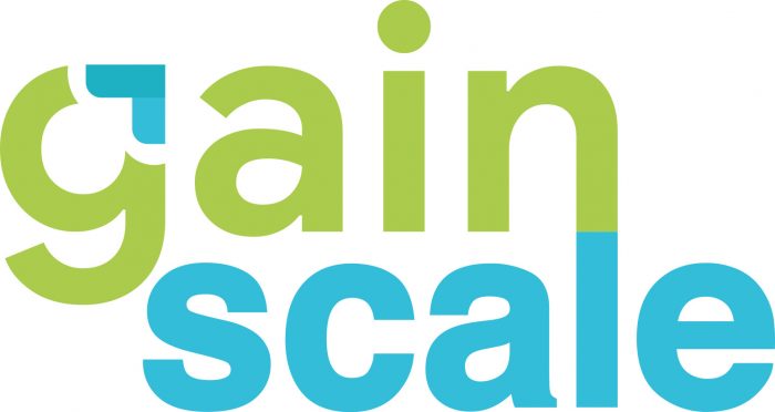 Top Digital Marketing Company | Gainscale Services