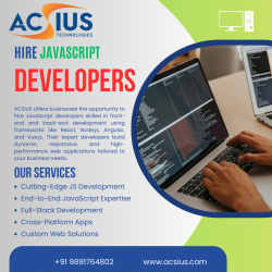 Full Stack Javascript Developer