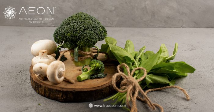 howfulvicacidenhancestheeffectsofgreensmushroomsandadaptogens-1765349755p84cl