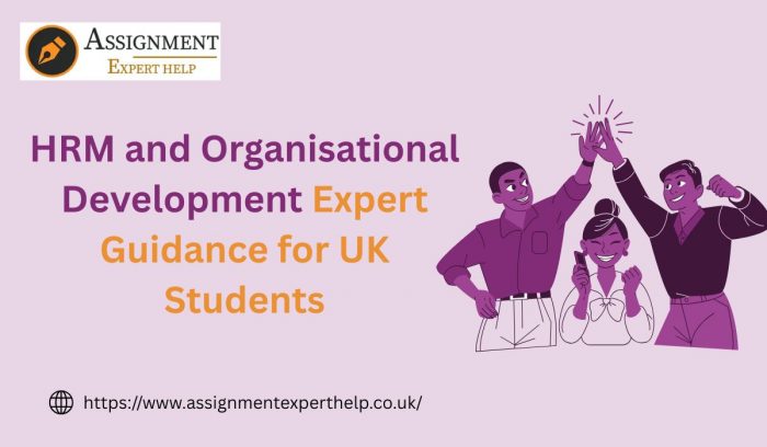 HRM and Organisational Development: Expert Guidance for UK Students