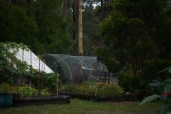 Buy Railway Sleepers from Railway Sleeper Specialists – Premium Hardwood Sleepers You Can Trust