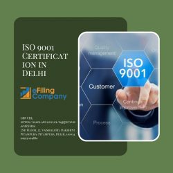 ISO 9001 Certification in Delhi – efiling company