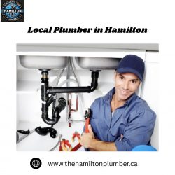 Local Plumber in Hamilton