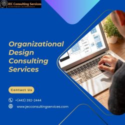 Organizational Design Consulting Services