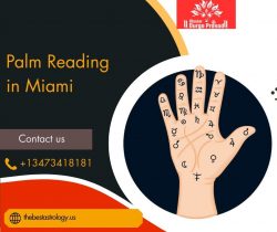 Palm Reading in Miami