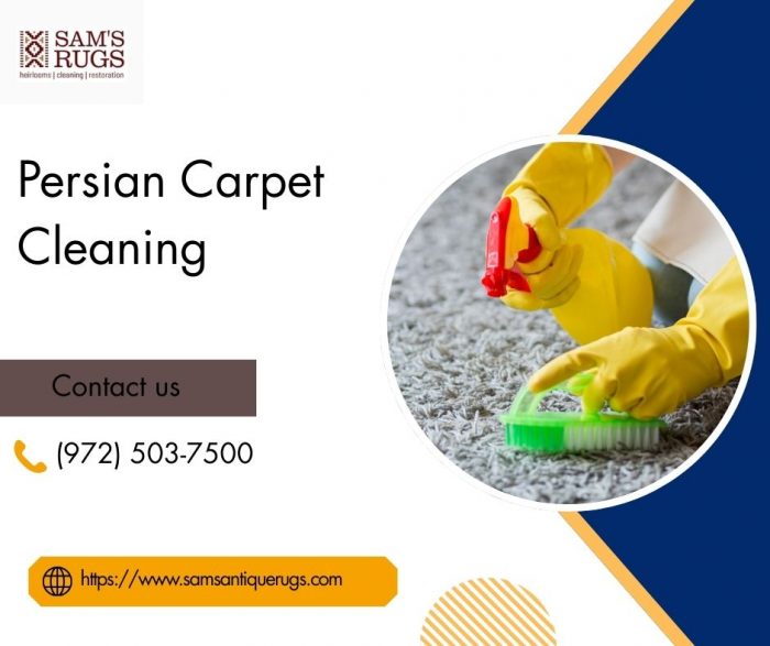 Expert Persian Carpet Cleaning Services