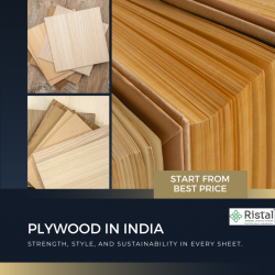 Trusted Plywood Manufacturers Delivering Strength and Style – Ristal Laminates