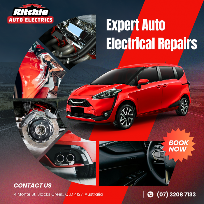 professional auto electrical repairs services-17655216614lpc8