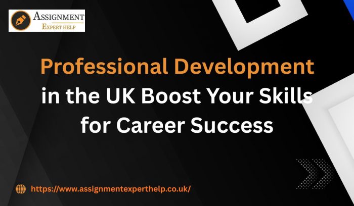 Enhancing Professional Development Opportunities for UK Students & Professionals