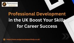 Professional Development Strategies for Better Career Growth in the UK