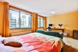 Stylish 2 Bedroom for Rent in San Antonio – Modern Living at Its Best