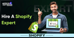 Hire a Shopify Expert for Your E-commerce Store Success Today