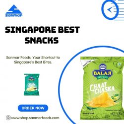 Singapore Best Snacks to Try | Sanmar Foods