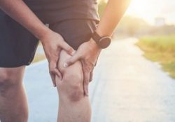 Experienced Dog Bite Attorney Fort Worth