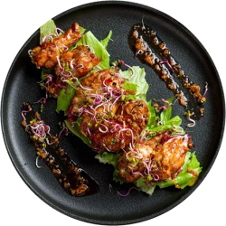 Srishthi Microgreens: Your Trusted Source for Fresh, Nutritious, and Chef-Grade Microgreens