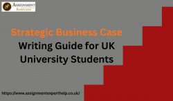 How to Prepare a Strategic Business Case for MBA Assignments in the UK
