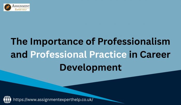 The Importance of Professionalism and Professional Practice in Career Development