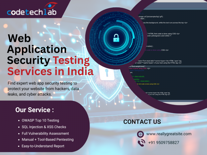 Web App Vulnerabilities Testing Service India