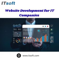 Website Development for IT Companies