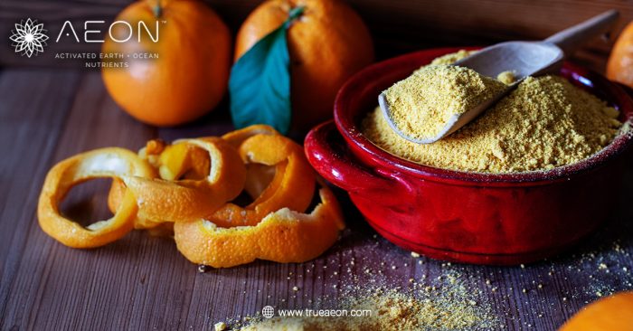 Why Combining Fulvic Acid with Whole-Food Powders Enhances Nutrient Absorption