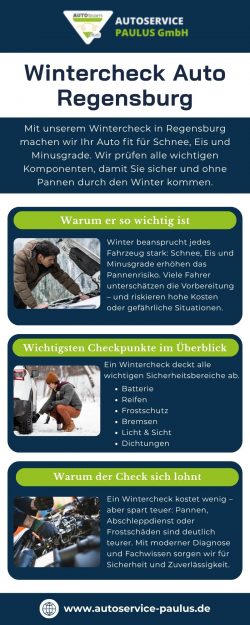 Wintercheck Auto Regensburg Professioneller Kfz Winterservice