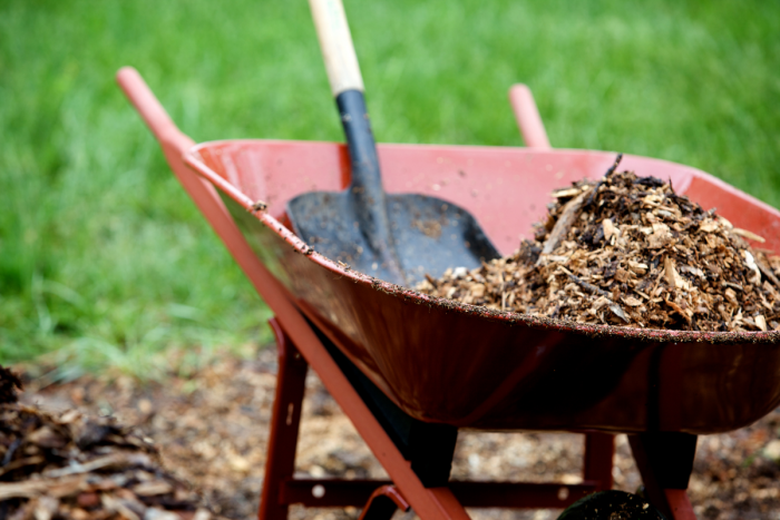 Proyards Landscape & Maintenance – Professional Lawn Care in Salt Lake City