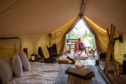 Tent Stay in Himachal Pradesh At Northwind