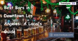 Best Bars in Downtown Los Angeles: A Local’s Guide